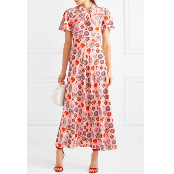 Temperley London Dresses & Skirts - NWT Temperley London Elxir Printed Maxi Dress